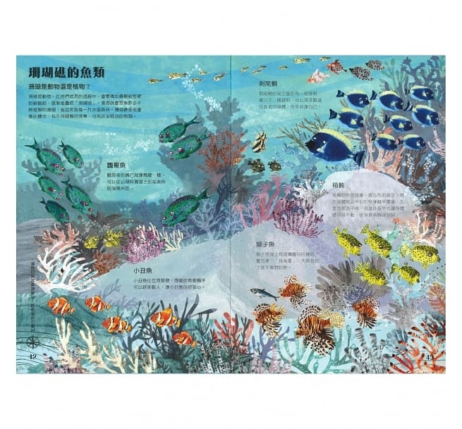 兒童繪本推薦《海洋大書Blue》