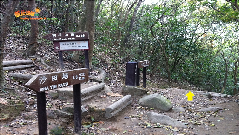 獅山龍凹築鷹巢較合年齡較大的孩子