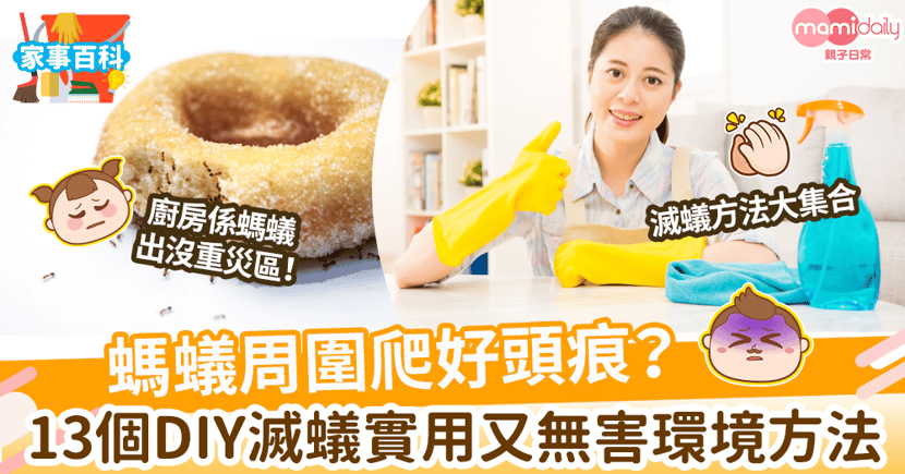 滅蟻方法 螞蟻周圍爬好頭痕 實用13滅蟻方法diy Mamidaily 親子日常