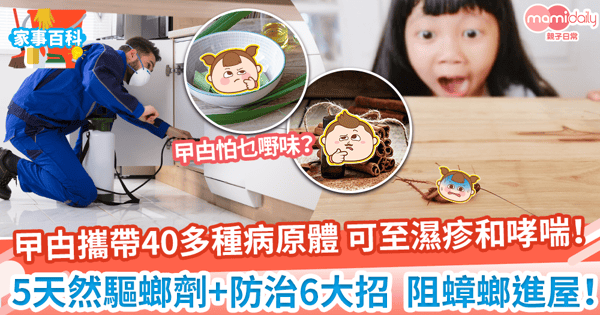 【曱甴怕什麼？】蟑螂最怕5種氣味！6招消滅小強方法！
