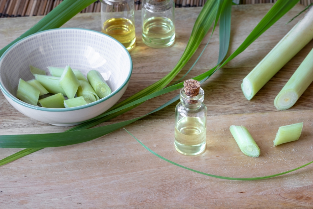 天然蟑螂防治方法-蟑螂怕的氣味