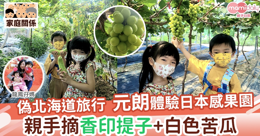 【親子好去處】偽北海道旅行 元朗日本感農場 親手摘香印提子+白色苦瓜