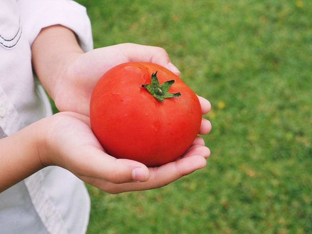 番茄中的茄紅素、β-胡蘿蔔素都是強大的抗氧化劑