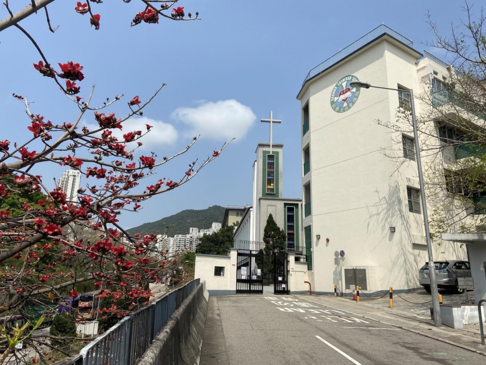 路德會救主學校是位於深水埗區的輕度智障兒童特殊學校。