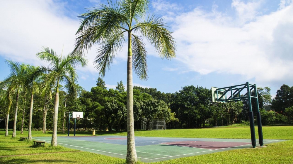 鳳溪第一中學重點發展體育運動，有良好體育設施。