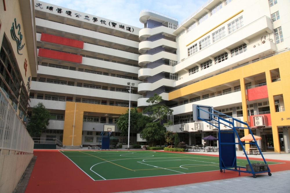 大埔舊墟公立學校（寶湖道）成立於2002年，雖無聯繫中學，不過升中派位成績優異