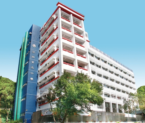 田官立小學位於沙田新田圍邨，是該校網的唯一一所官立小學。