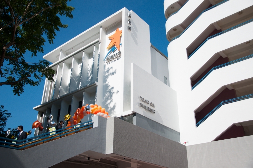 港大同學會小學與港大同學會書院結龍，成立於2002年，中學則是成立於2006年。