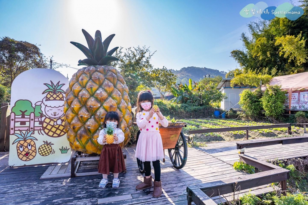 主打的就是園區的大大的菠蘿，尤多個以菠蘿主題打造的設施，包括有機菠蘿田、菠蘿知識館、菠蘿許願樹等。