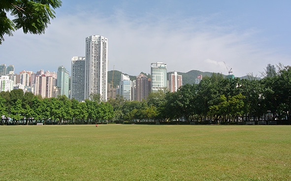 公園的中央草坪是市民野餐和享受休閒時光的好去處