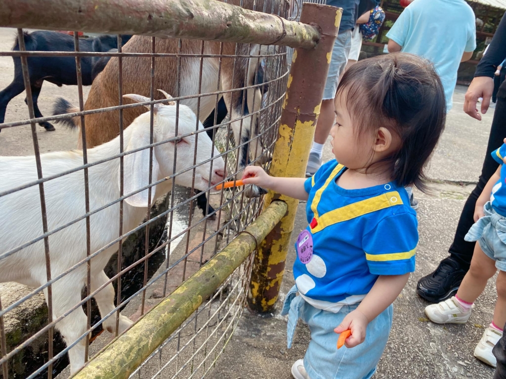 大棠有機生態園可以餵食動物。