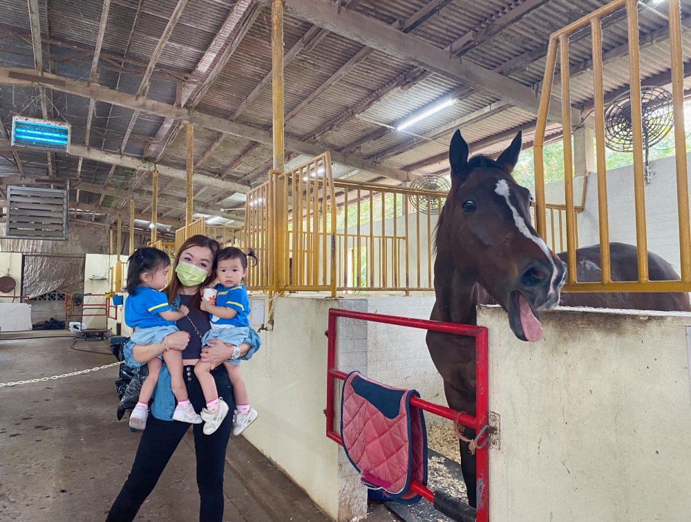 大棠有機生態園提供遊客騎馬和參觀馬房。