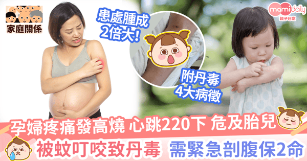 【丹毒感染】孕婦被蚊叮咬致丹毒緊急剖腹　罕見皮膚炎症丹毒成因+4大特徵須知！