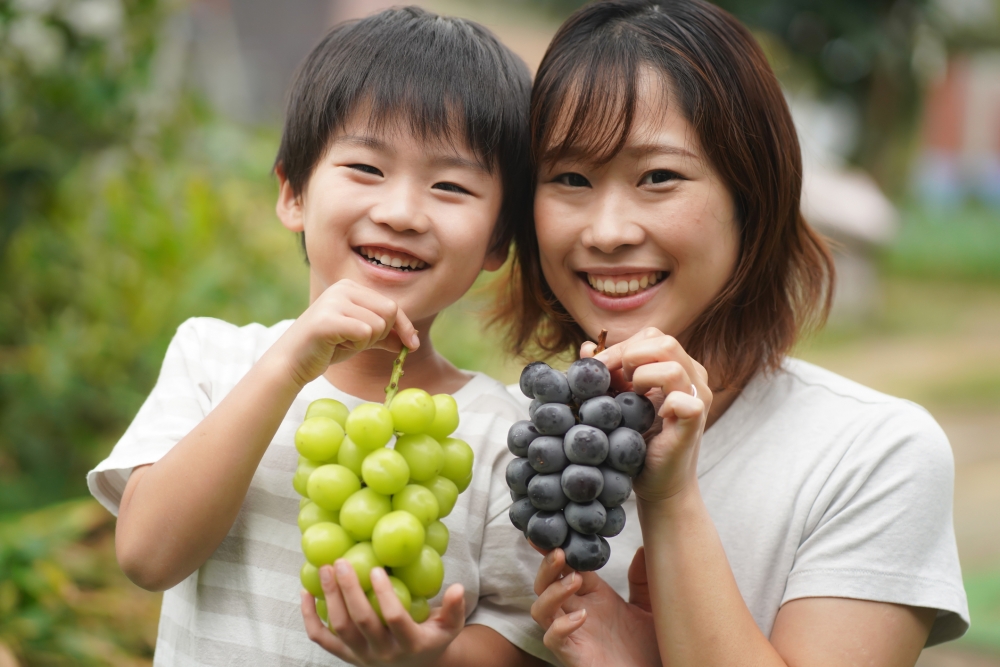 提子有提升免疫力、抗氧化、預防高血壓、護眼等功效。