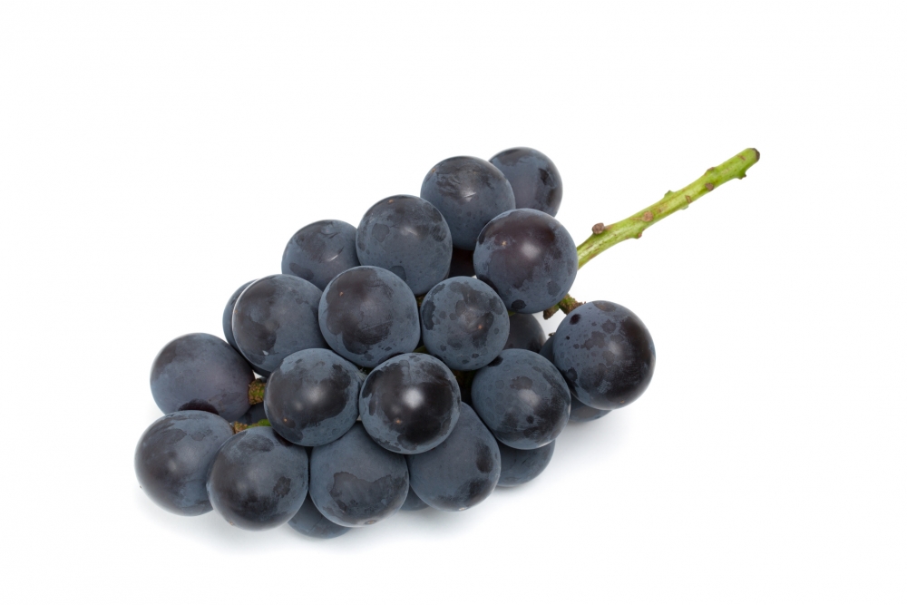 巨峰提子原產自日本,有「葡萄之王」稱號。