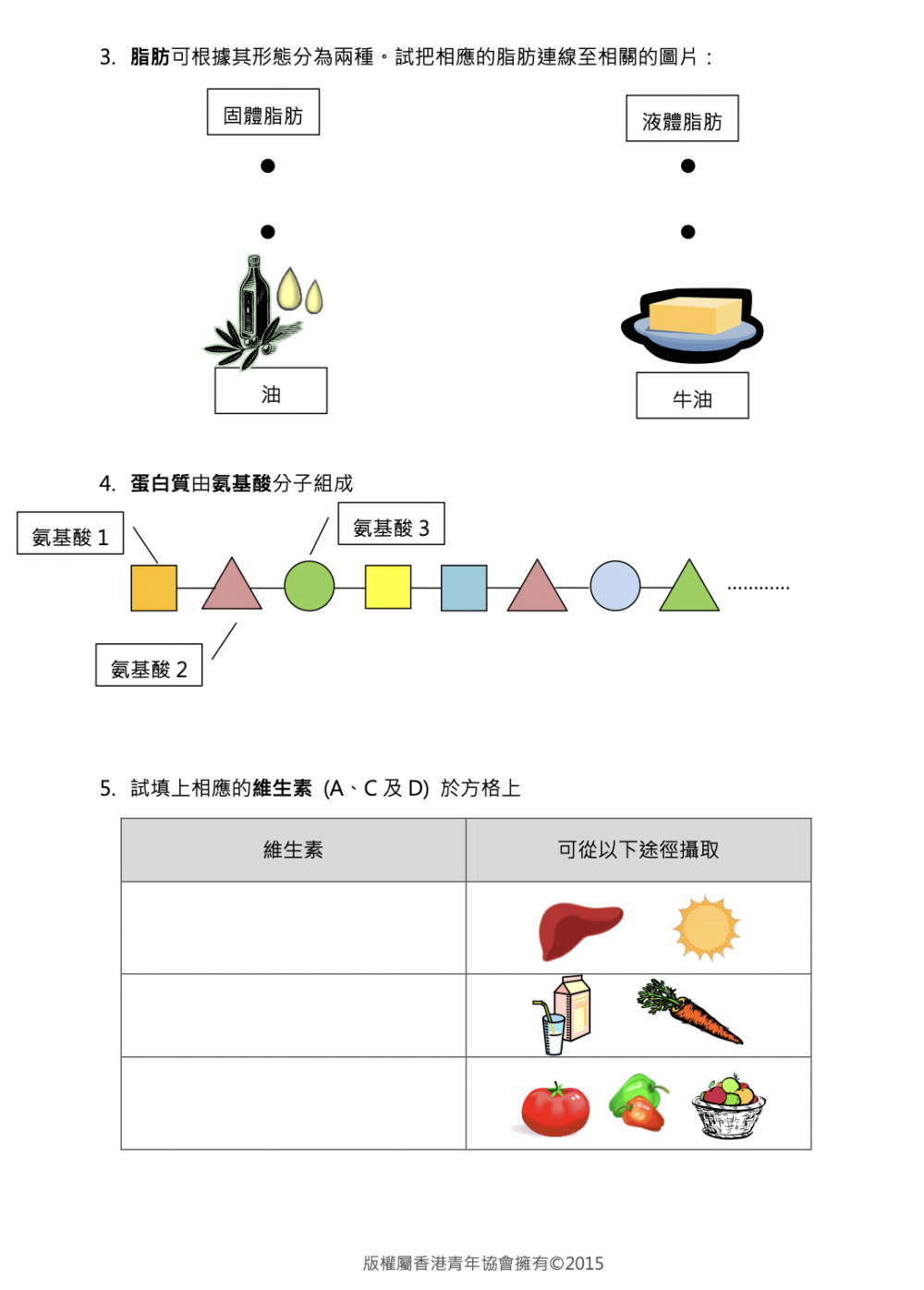 香港青年協會「小學科學教案」工作紙2。