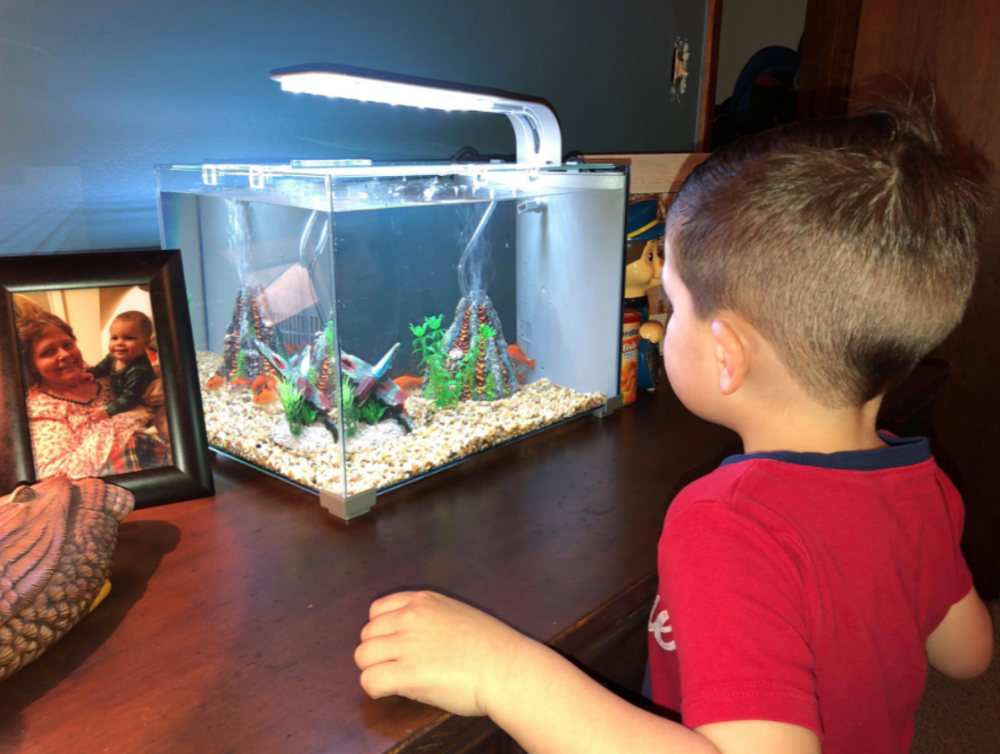 原來孩子因為太喜歡寵物金魚,所以就抱着牠睡了一整晚。