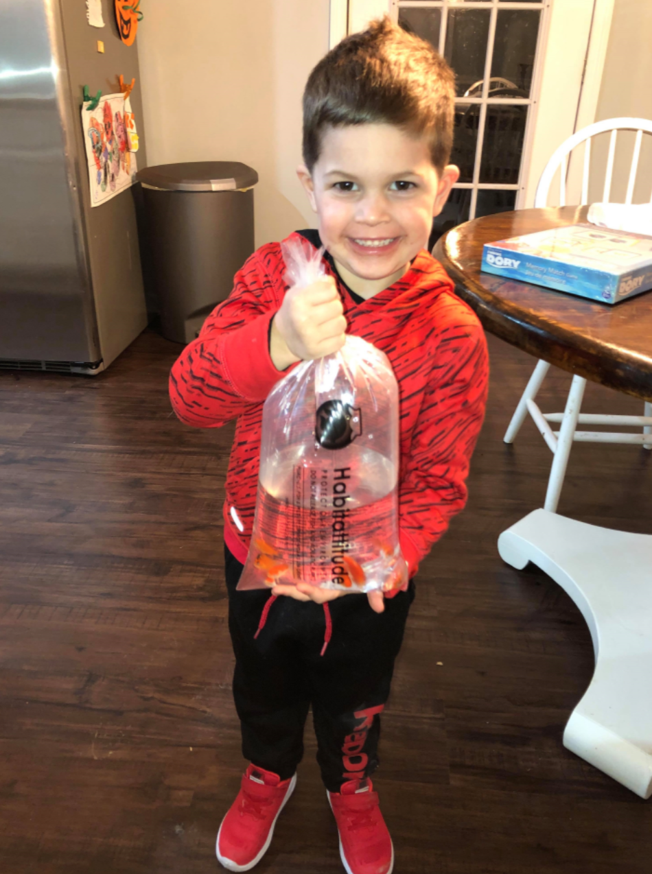 媽媽後來再為兒子買了條新金魚,孩子答應自己會讓金魚留在水箱裏生活。