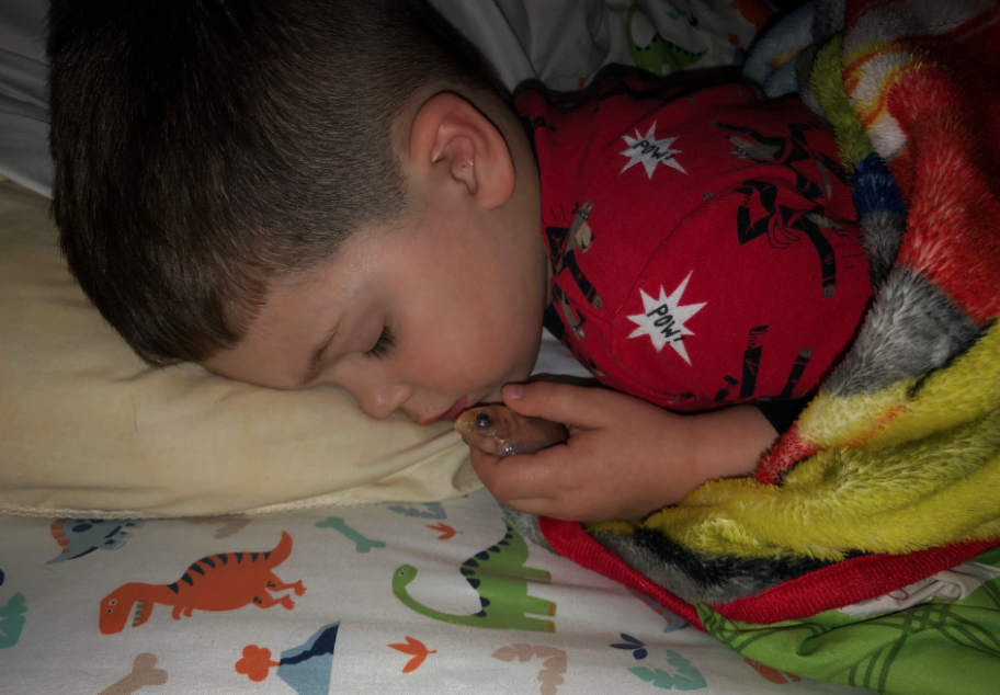 外國一位媽媽有日睡醒發現,屋裏竟隱若有一陣惡臭。