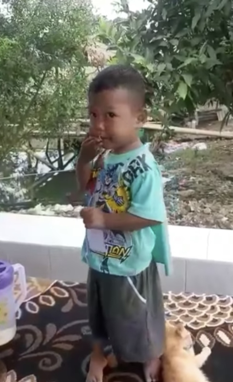 影片中Pipit吃紙張吃得津津有味。