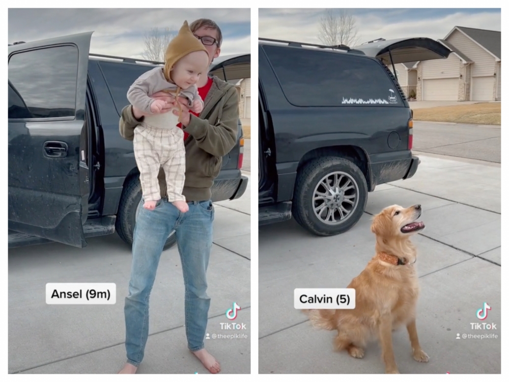 網民取笑,狗狗名字最正常。