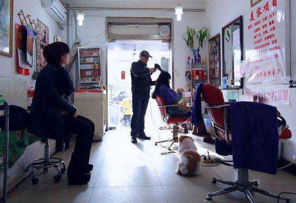 內地一名夫妻共同經營理髮店,生意忙碌。