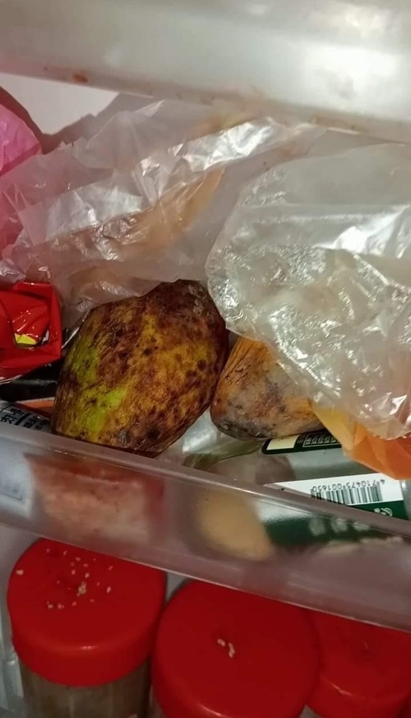 雪櫃內有腐爛食物。