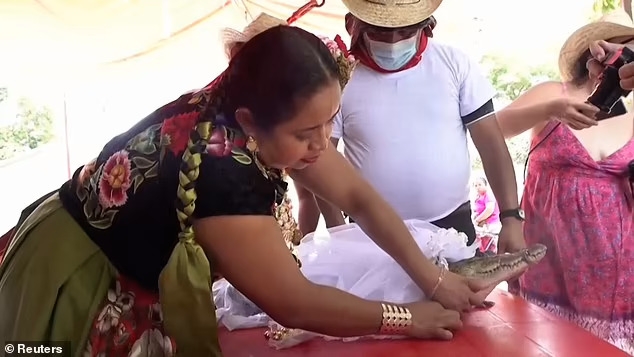 小公主被精心打扮，身上披著白紗