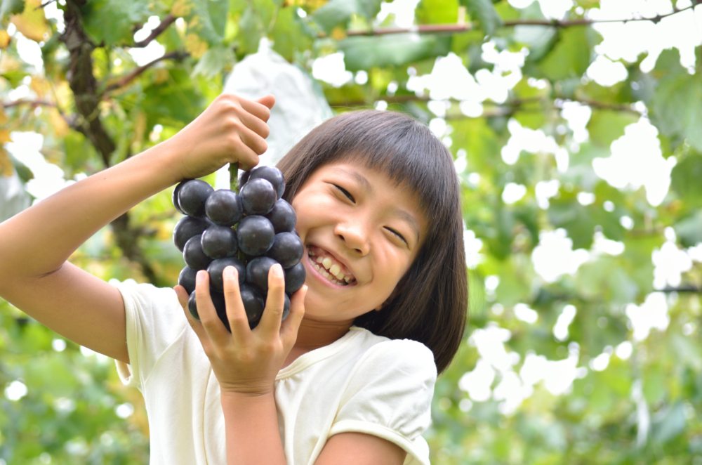 多吃提子,能護眼和提升記憶力