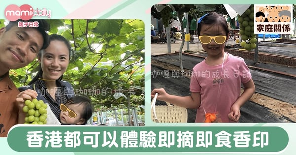 【親子好去處】香港都可以體驗即摘即食大大粒、脆卜卜、甜度十足嘅香印提子