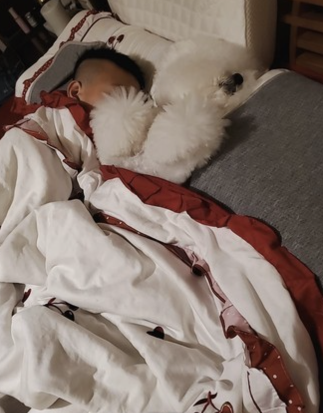 每次兒子回來都會特別黏。