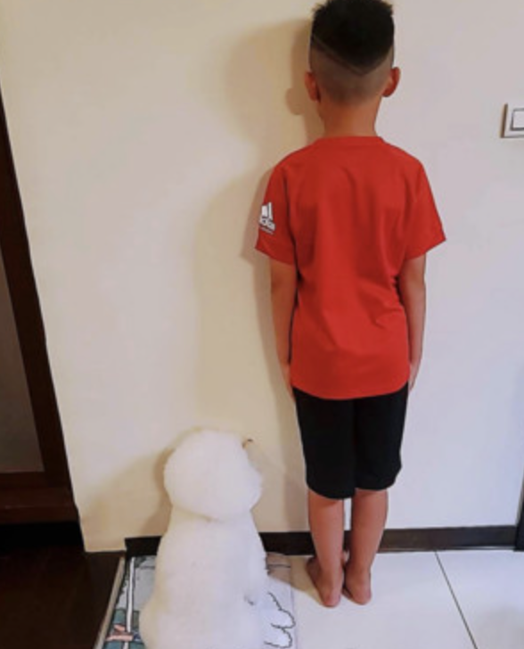 可愛小狗「邦妮」陪兒子罰站，瞬間好感動。