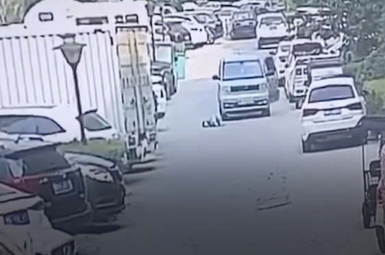 弟弟被車撞到,當時司機立即下車檢查弟弟的傷勢。