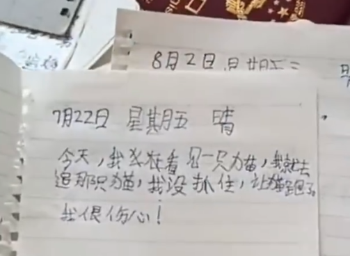 亦有不是關於打牌的日記,不過內容也相當搞笑。
