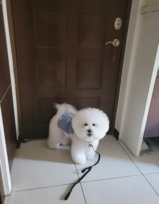 「小天使」般的存在的邦妮。