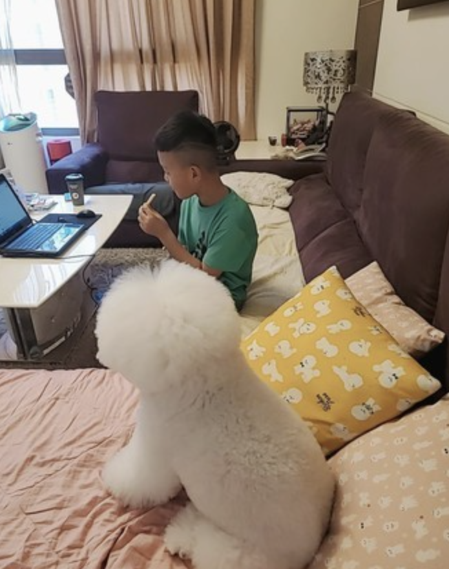 邦妮會陪着很少見的兒子。