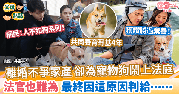 【寵物撫養】離婚不爭家產 卻為寵物狗鬧上法庭 法官也難為 最終因這原因判給......