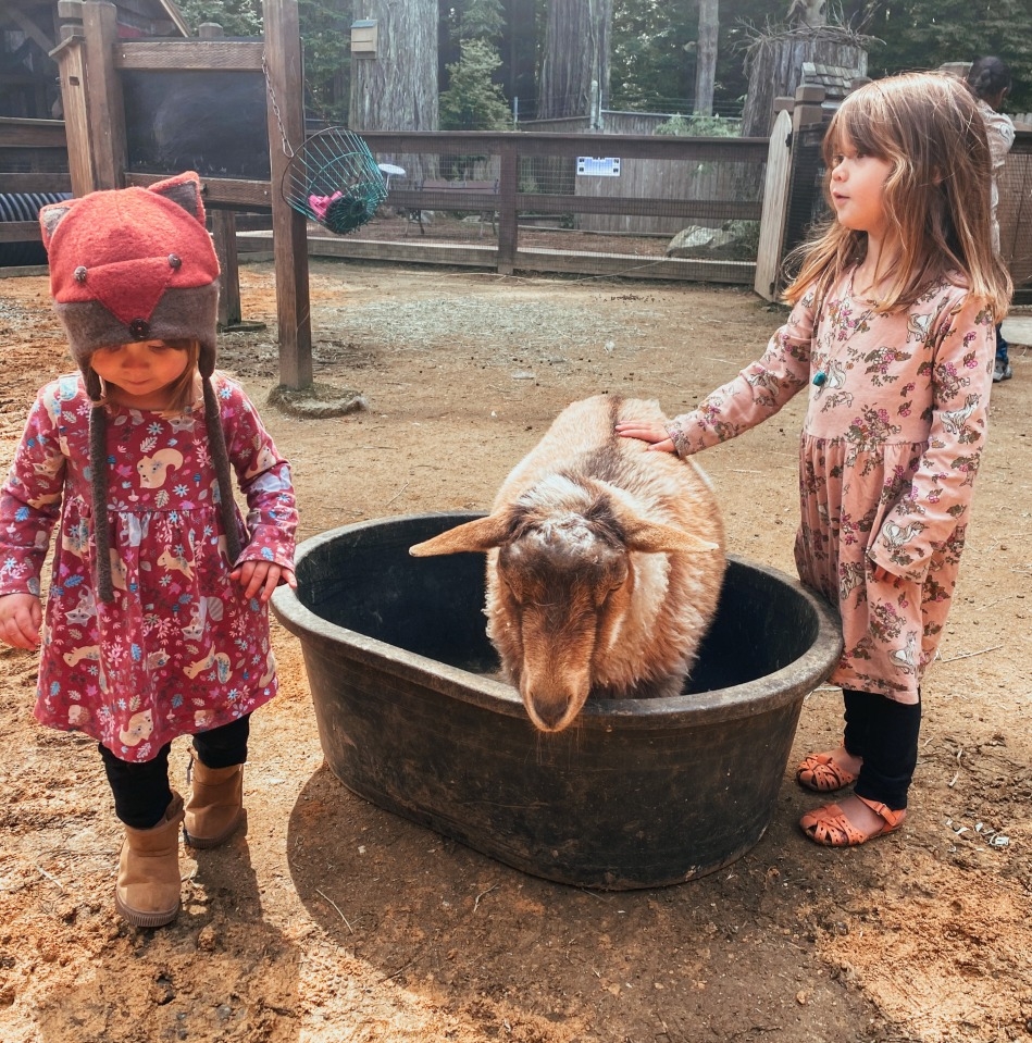 大女兒喜歡宇宙，小女兒則喜歡動物。