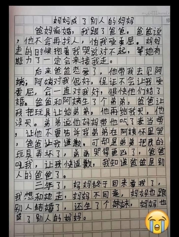 小學生的作文令網民動容