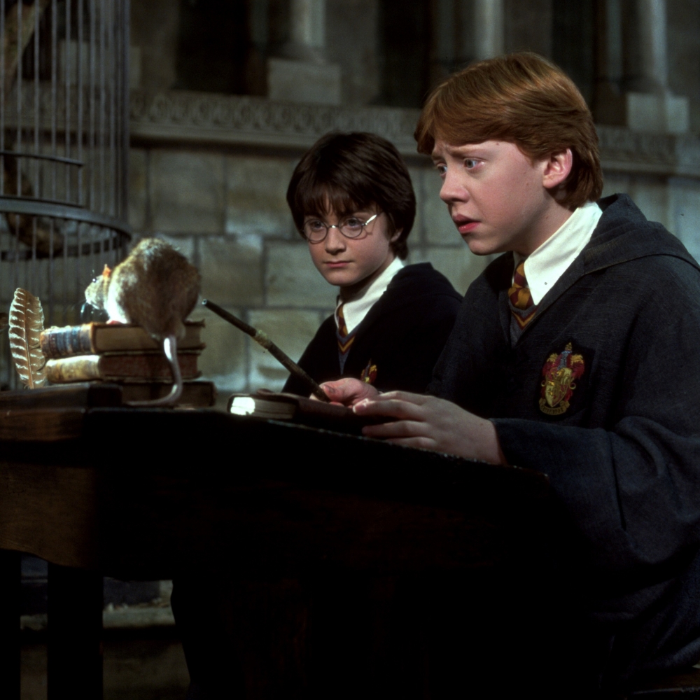 著名電影《Harry Potter》主角Harry，其名字排名稍後。