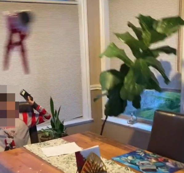 聖誕精靈不斷碰打周圍物件，其中更把一棵植物打下來