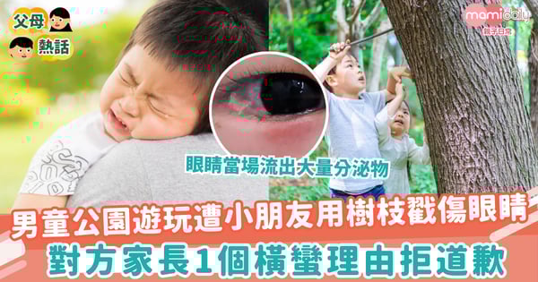 【公園爭執】男童公園遊玩遭小朋友用樹枝戳傷眼睛　對方家長1個橫蠻理由拒道歉