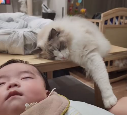 摸完兒子的頭後，就慢慢睡着了