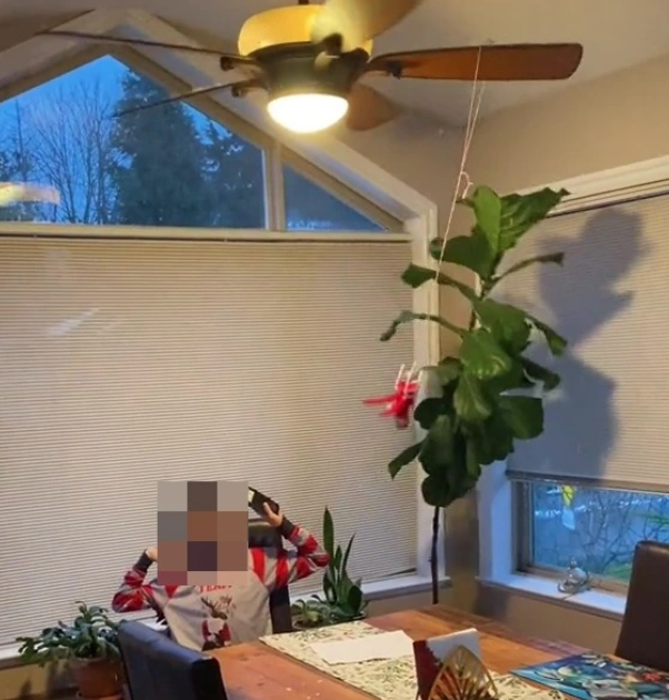 聖誕精靈身上的雪花不但沒有飄出來，反而越來越快，動作也變大