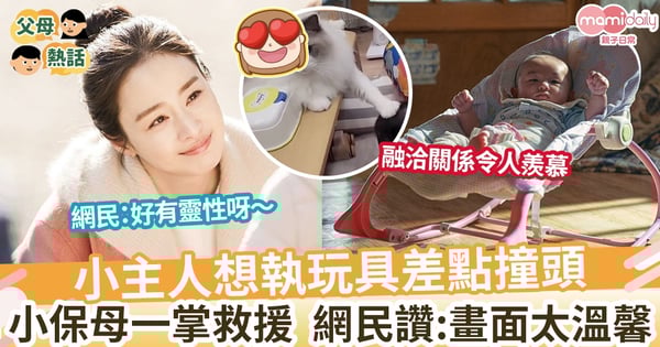 【寵物保母】小主人想執玩具差點撞頭 神隊友貓保母一掌救援 網民讚:畫面太溫馨