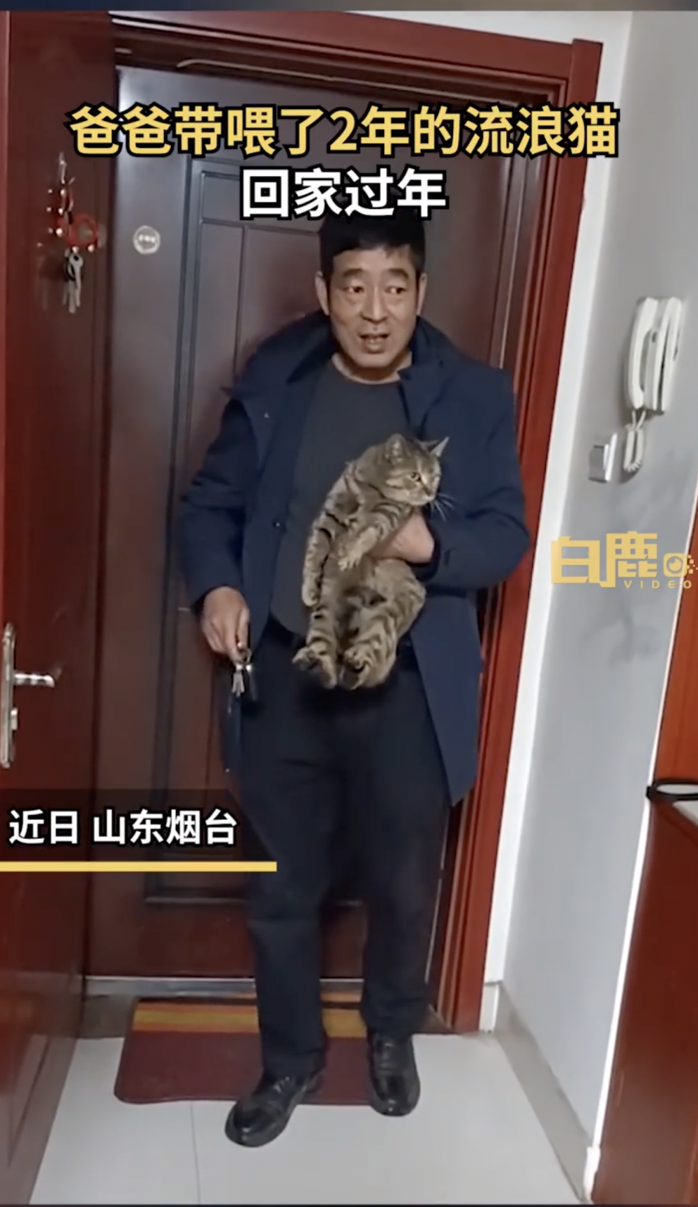 女網友說爸爸說的「朋友」，竟然是一隻大花貓。