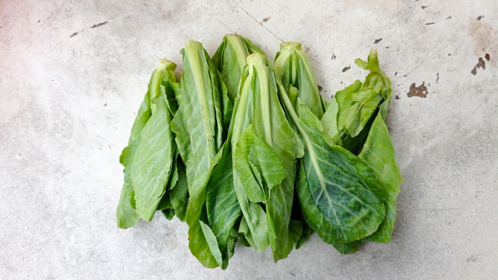 從事飲食業的媽媽還說，餐廳的菜多數無洗。