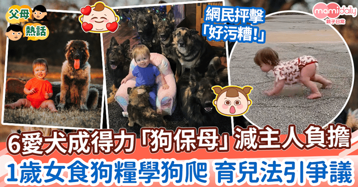 【寵物保姆】由6隻牧羊犬帶大 1歲女食狗糧學狗爬　母親放任式育兒法引爭議