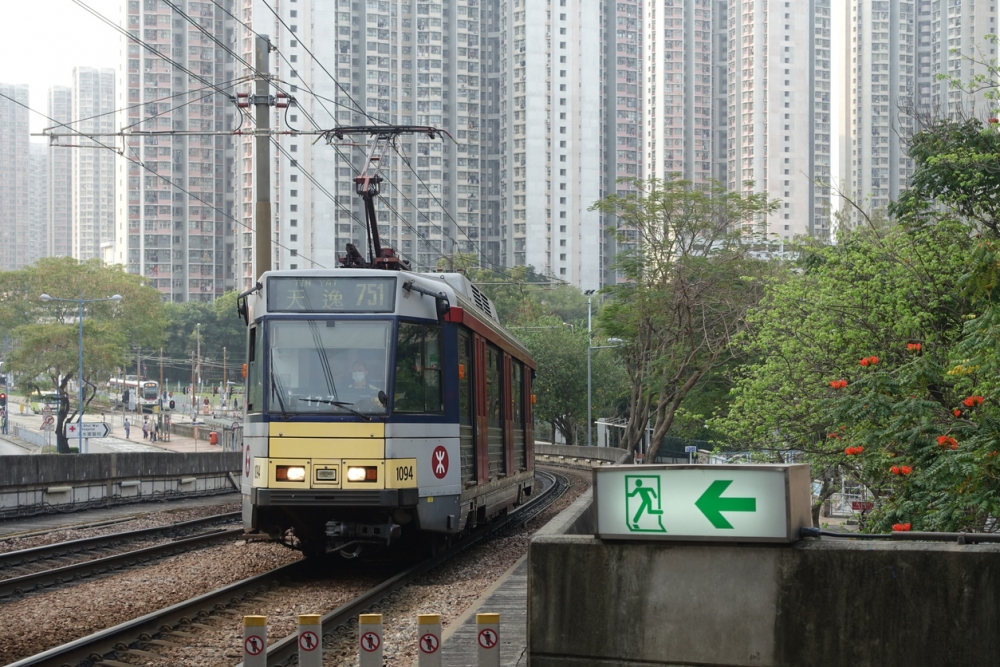 住在新界西家長，應如何為升小子女選校？
