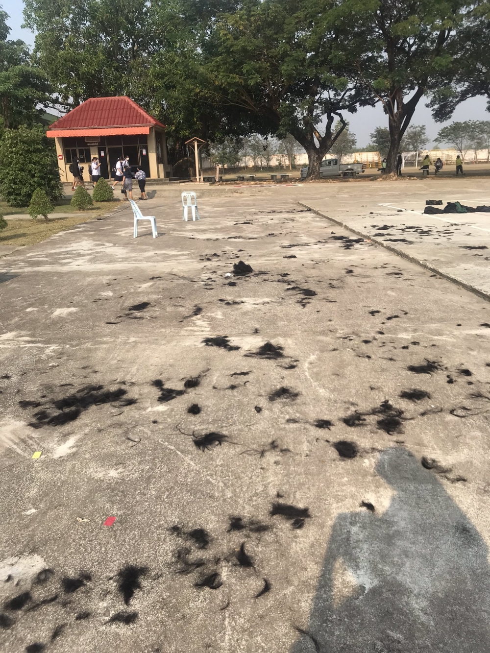 網民分享當天留下的一滴碎髮。